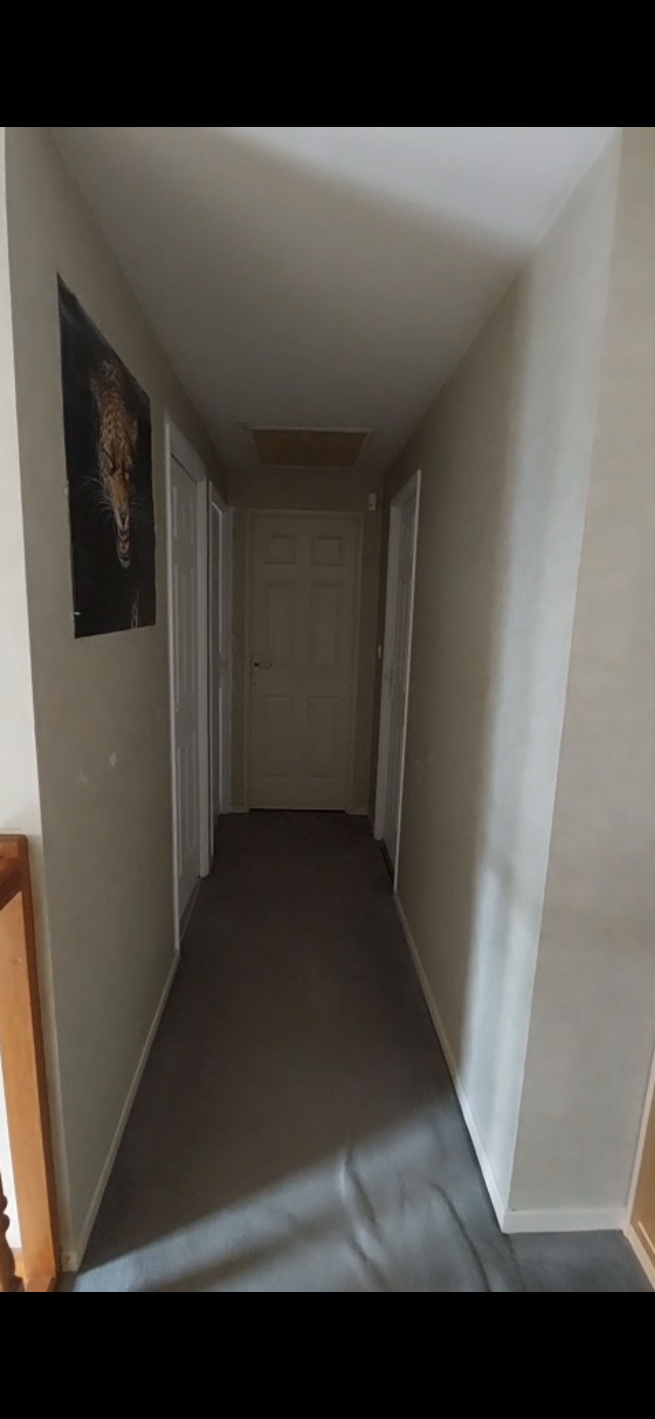 Rénovation intérieure : escalier, cage d’escalier, couloirs et sanitaires - Avant